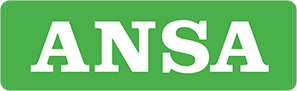 ansa